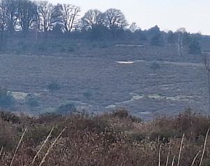 Unterkunft 990115 - Ferienhaus Salland - Borkerijck