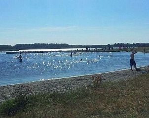 Verblijf 990132 - Chalet Noordwest Groningen - EnJoy Natur, See und Meer Chalet Lauwersoog