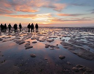 Verblijf 990132 - Chalet Noordwest Groningen - EnJoy Natur, See und Meer Chalet Lauwersoog