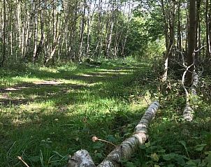 Verblijf 990132 - Chalet Noordwest Groningen - EnJoy Natur, See und Meer Chalet Lauwersoog