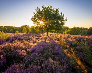 Camping Landal Gooise Heide
