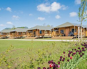 Camping Waddenzee